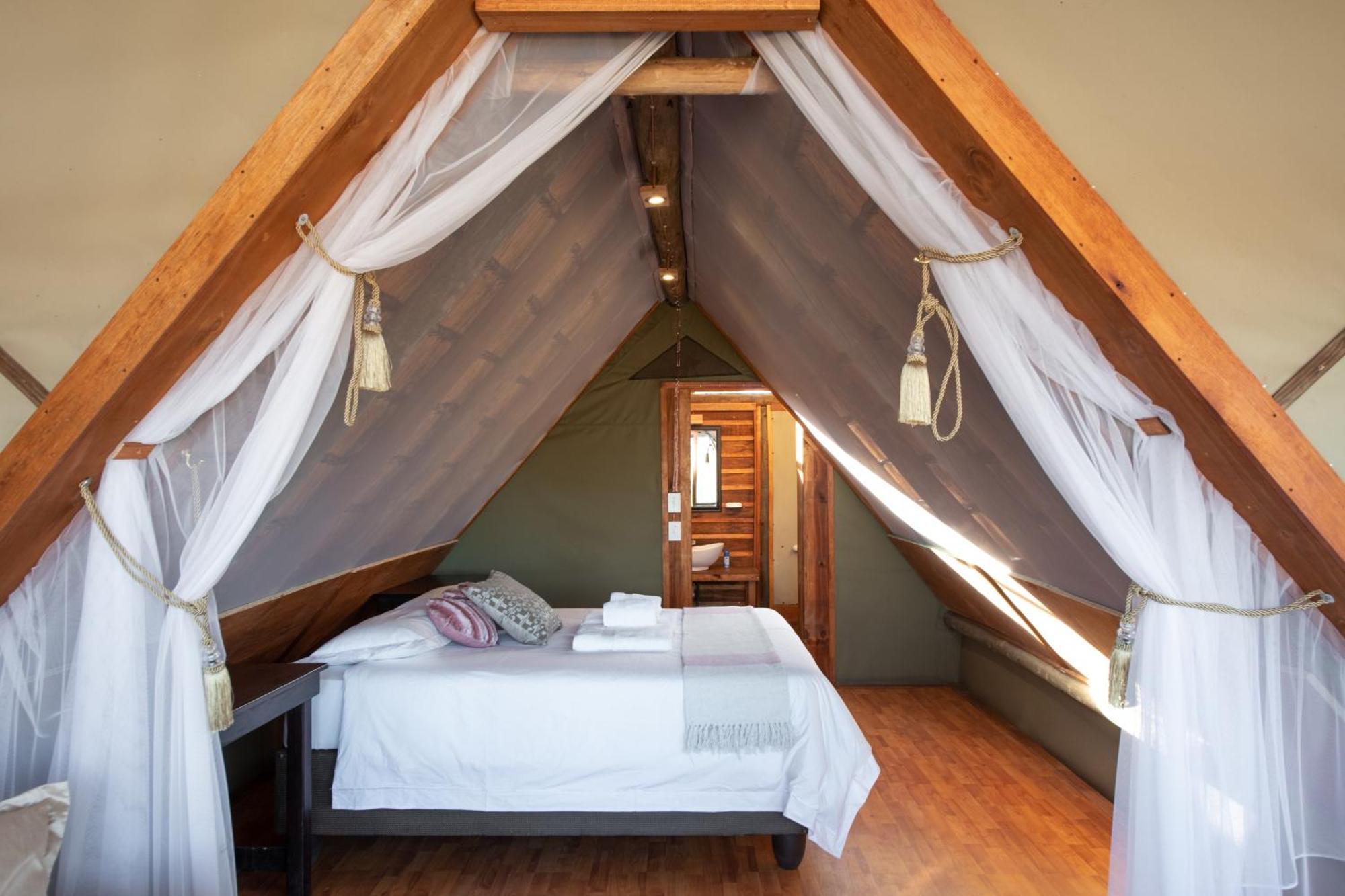 Buffelshoek Tented Camp Luxury tent Manyeleti Game Reserve