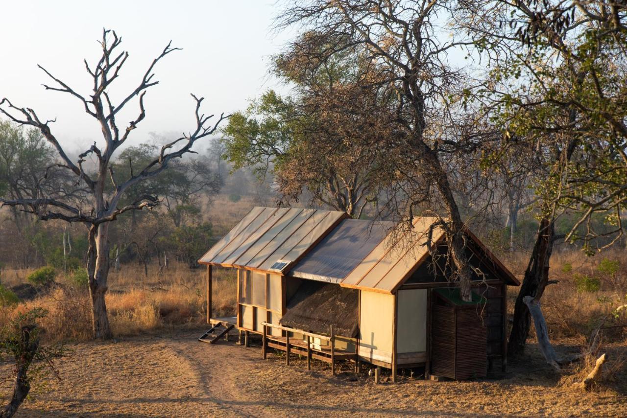 Luxury tent Buffelshoek Tented Camp